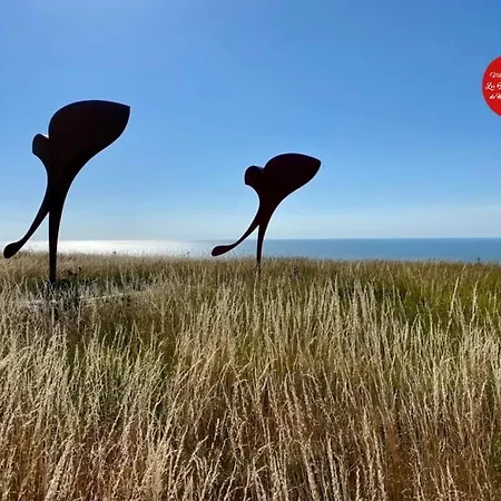 Saint Jacques, Le Ciel Daire